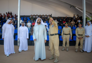 wp header logo17708256181866802802