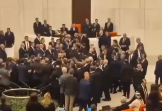 wp header logo17708256521432825065