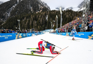 wp header logo17708328081149471461