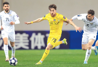 wp header logo17708436181634650612