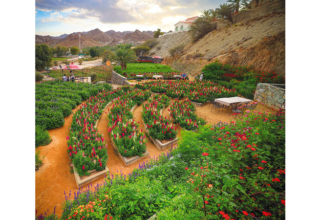 wp header logo17708580351134412402