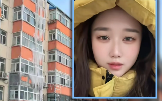 wp header logo1770868827307185078