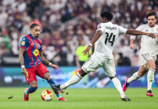 wp header logo1770872410523207454