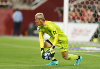 wp header logo17708760111138696567