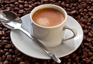 wp header logo17708796071713757926