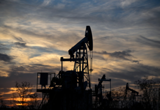 wp header logo177087962086434011