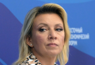 wp header logo177087962877446655