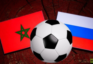 wp header logo1770883210564590171