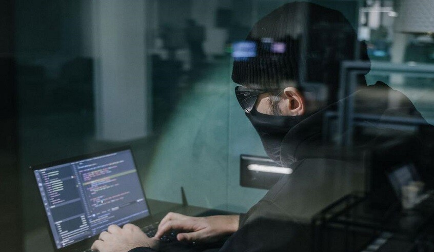 wp header logo1770883221530757382