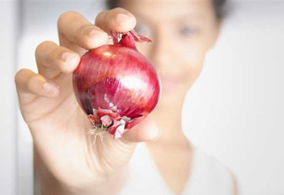 wp header logo17708868161920646301