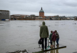 wp header logo177089043538733630