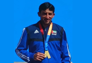 wp header logo17709048072076289664