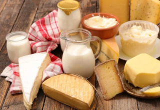 wp header logo17709048182097183876