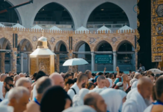 wp header logo17709192081086425488