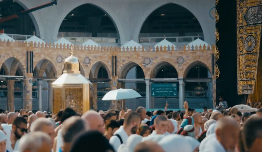 wp header logo17709192081086425488