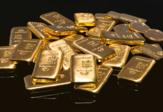 wp header logo1770919209985823610