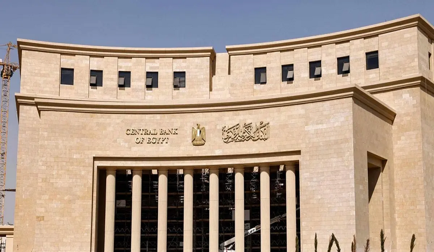 wp header logo1770922808849064439