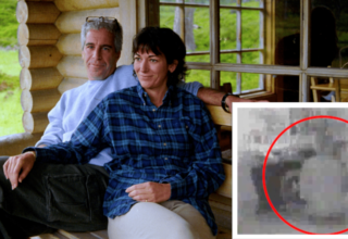 wp header logo1770922863657533053