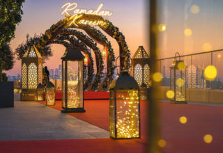 wp header logo1770933614575406070