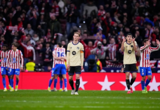 wp header logo1770937224464655680