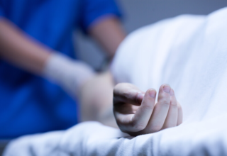 wp header logo17709444091777481506