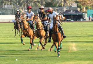 wp header logo1770944427147250050