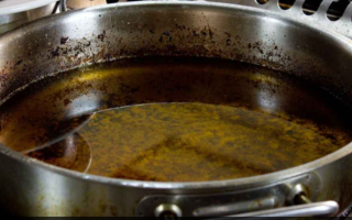 wp header logo17709516081007022863