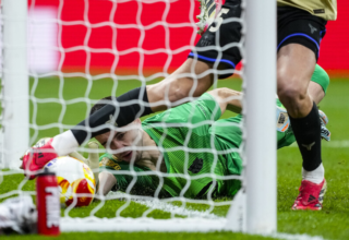 wp header logo17709660081568916284