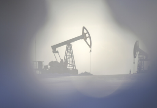 wp header logo1770969624872873446