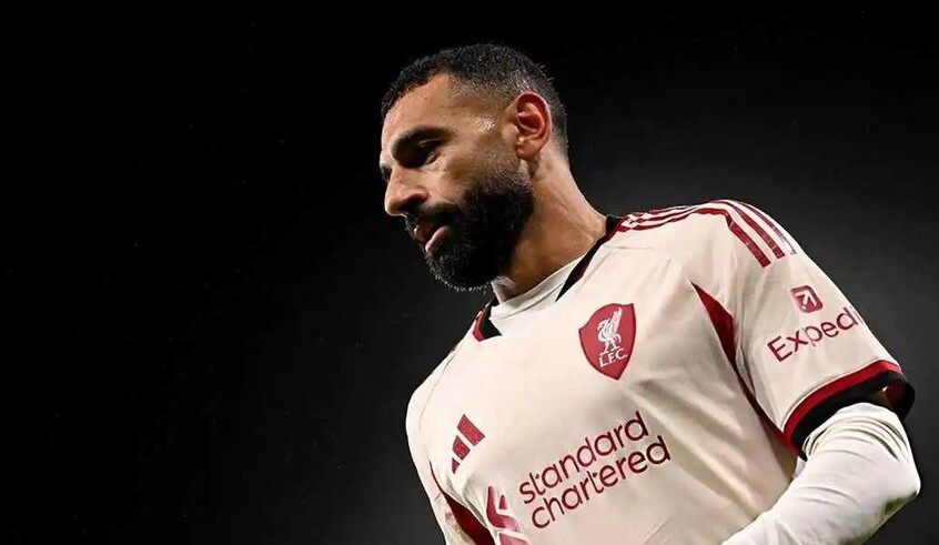 wp header logo17709804441333912623