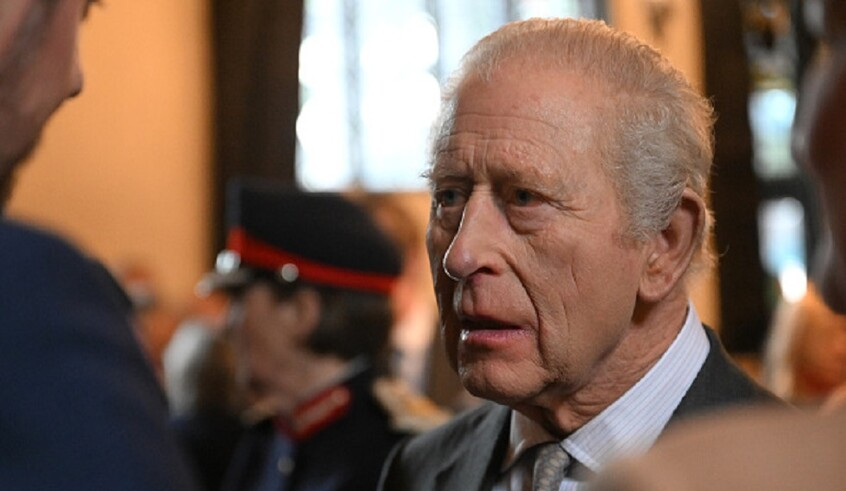 wp header logo177098400991259545