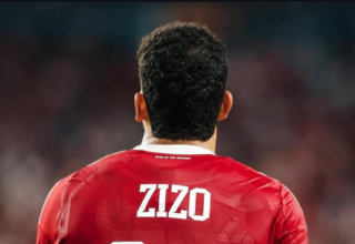 wp header logo17709876111002788304