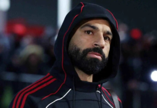 wp header logo1770987633840899419