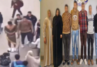 wp header logo17710020101652749652