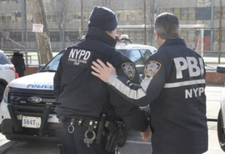 wp header logo1771005639701853634