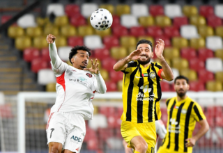 wp header logo177100921675255229