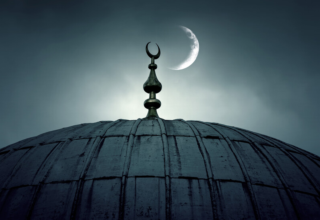 wp header logo17710128101774181012