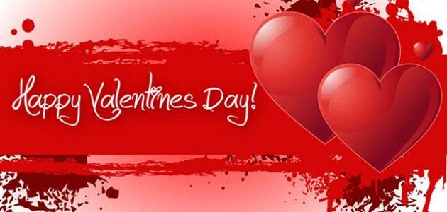 wp header logo1771059626378269445