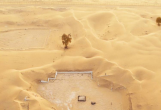 wp header logo17710632071111068778