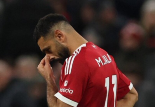 wp header logo1771066809594325713