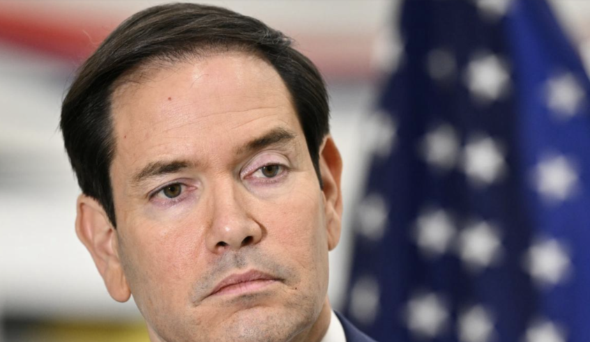 wp header logo1771088412954252700