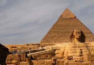 wp header logo1771092010967200228