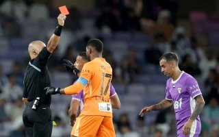 wp header logo17710956082056504438