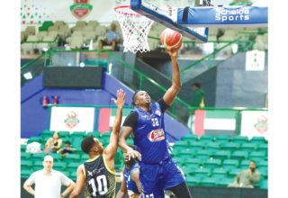 wp header logo1771117216762526872