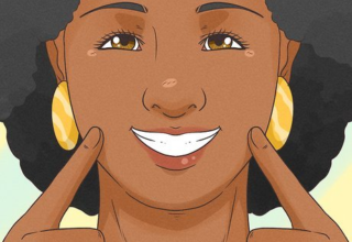 wp header logo17711280111545446482