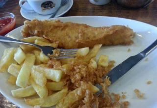 wp header logo1771128017863988854