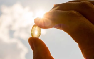 wp header logo17711424091741778268