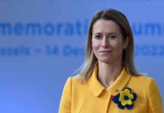 wp header logo1771156822307960979