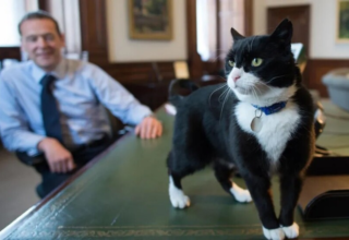 wp header logo17711604271138320171