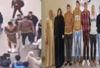 wp header logo17711676311857990863